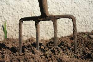 premier jardin potager - conseils EDR