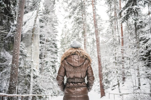 article vêtements hiver