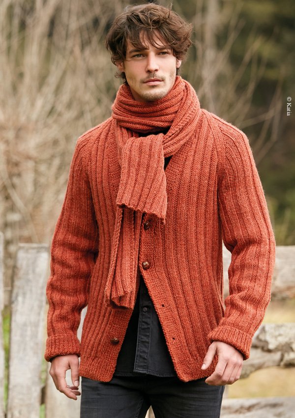 modèle pull tricot homme