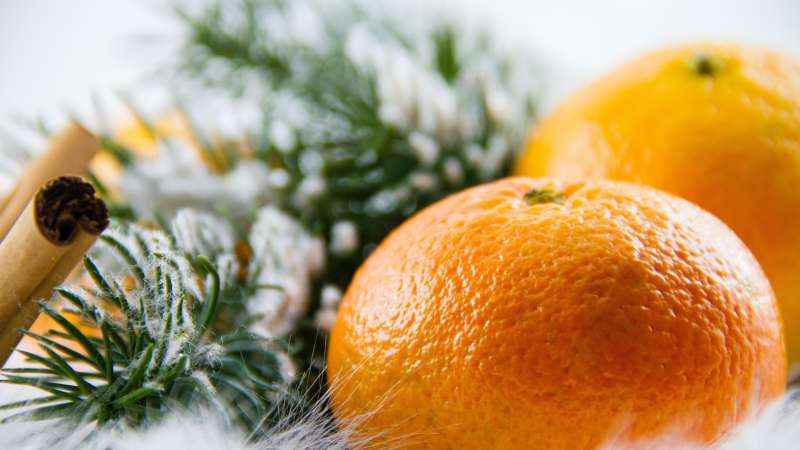 alimentation hiver