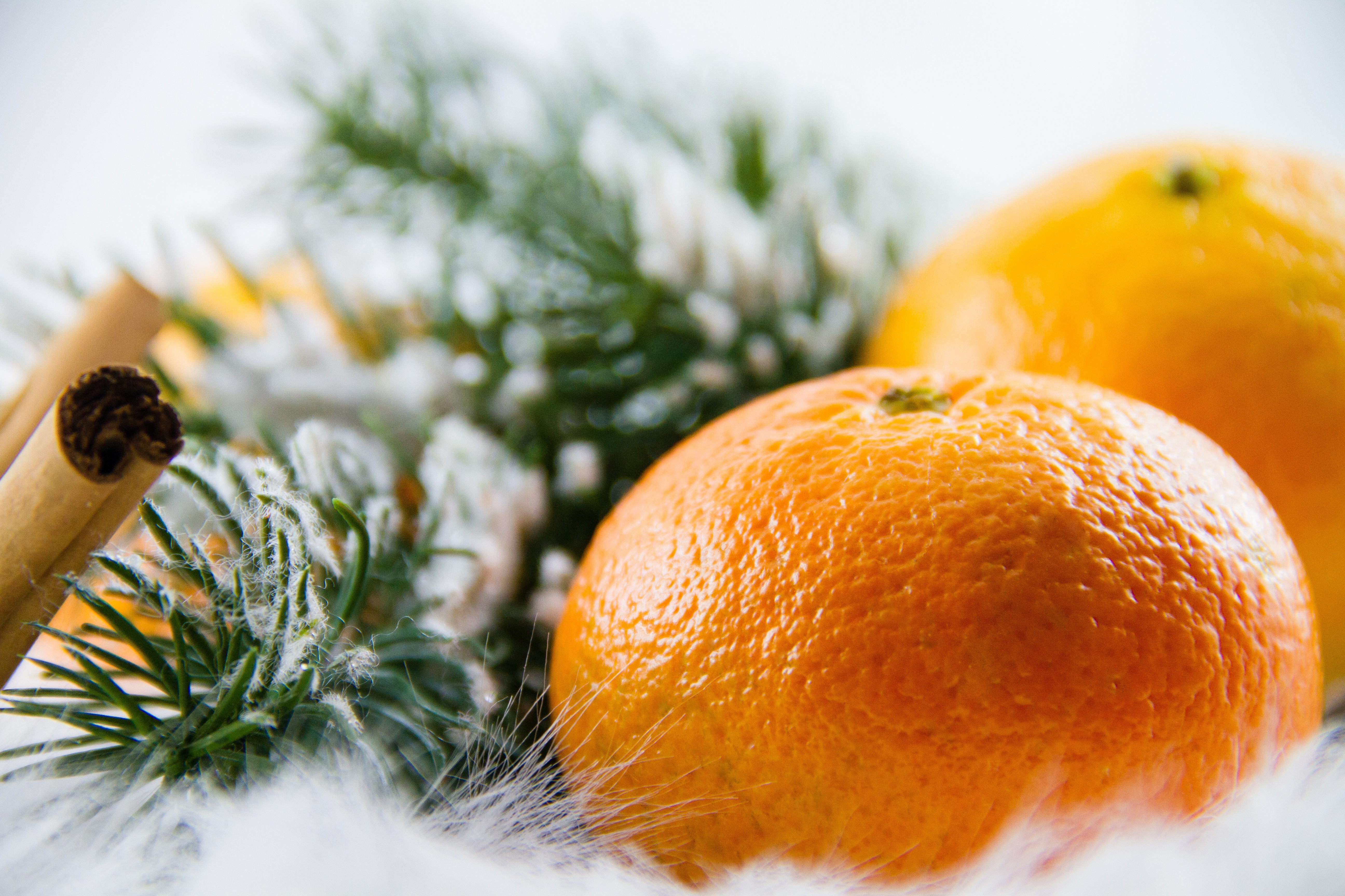 alimentation hiver