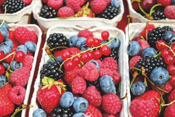 fruits rouges