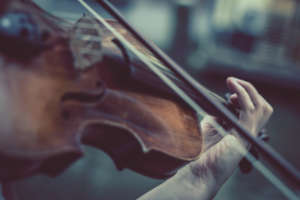 violon