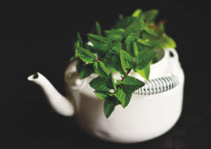 décoration menthe